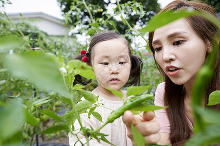 植物栽培农业韩国花园体验式学习韩语图片