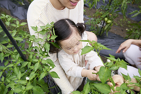 在一起分庭律师家庭花园体验式学习韩语图片