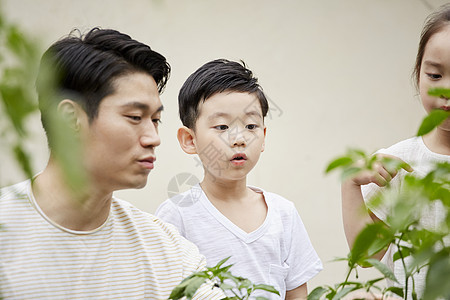 评价男孩中年花园体验式学习韩语图片