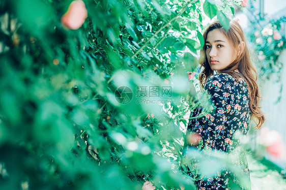 花园鲜花丛中的年轻女性图片