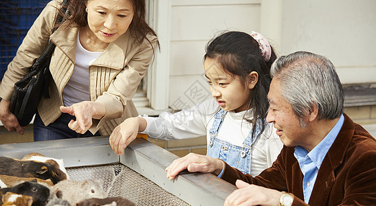 爷爷奶奶带孙女在游乐园玩图片