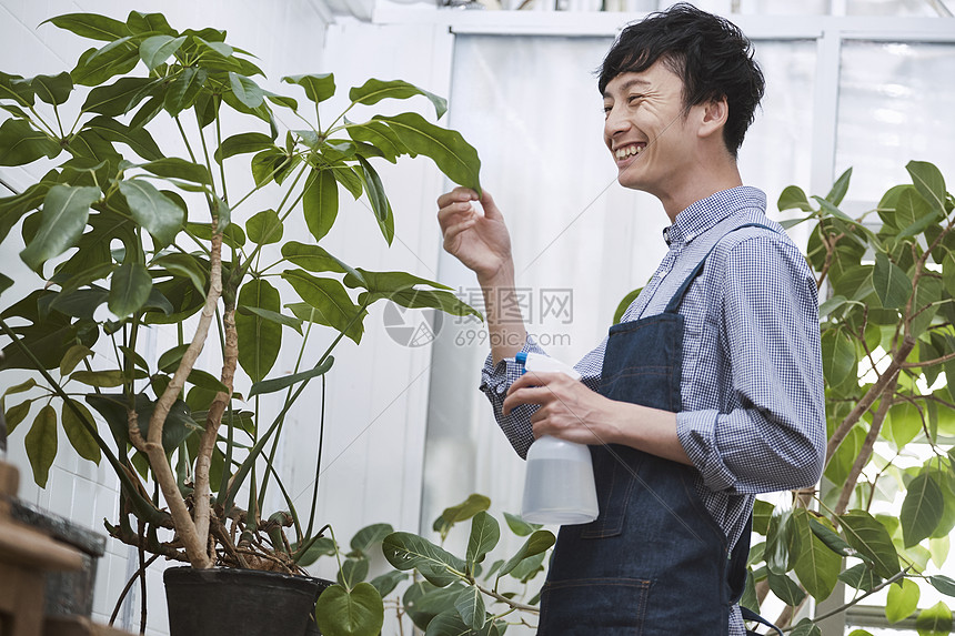 在一家花店工作的男人图片