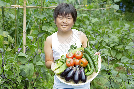 户外乡村男孩采摘蔬菜图片