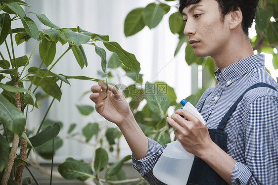 在一家花店工作的人图片