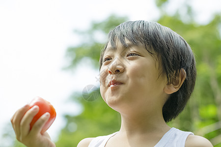 室外男孩在吃西红柿图片