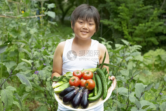 男孩在菜地捧着蔬菜图片