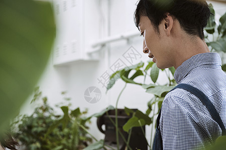 在一家花店工作的男人图片