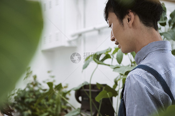 在一家花店工作的男人图片