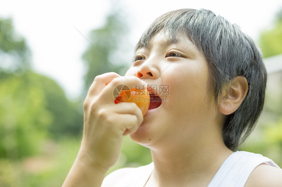 暑假在田地里采摘水果的小男孩图片