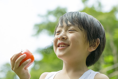 暑假在田地里采摘水果的小男孩图片