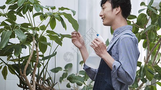 在一家花店工作的男人图片