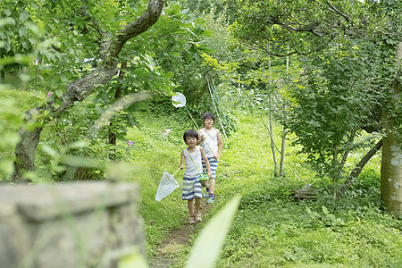 鲜绿森林找男孩在暑假图片