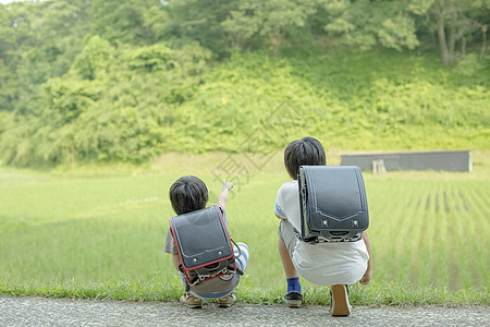 步行小学生在上学的路上图片