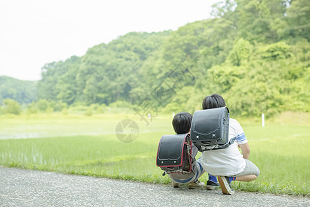 乡下小学生在上学的路上图片