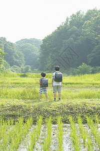 拉男孩兄弟小学生在上学的路上背景图片