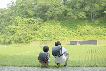 田园里玩耍的小学生背景图片