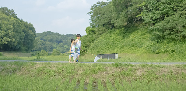 田野里捕虫的男孩图片