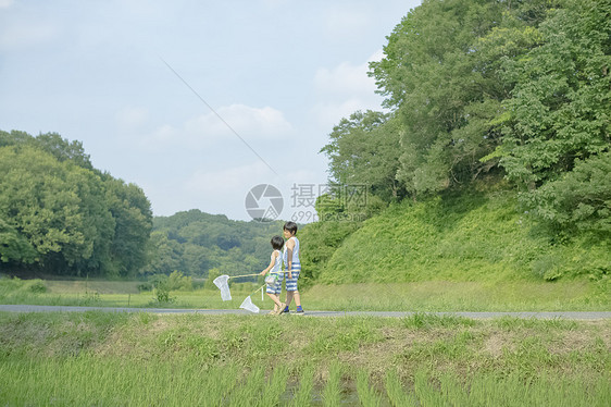 休假男孩在路上采集昆虫图片