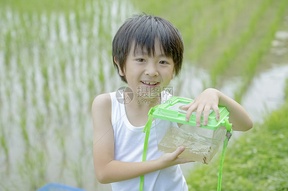 休假男孩在路上采集昆虫图片