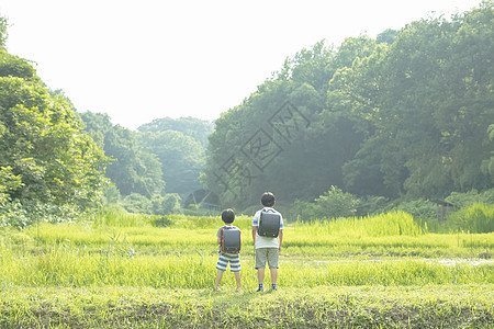 小学生去学校之路图片