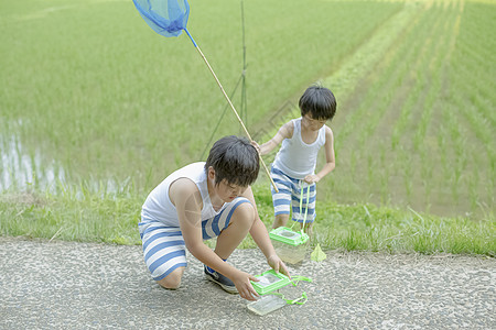 暑假男孩野外捕捉昆虫图片