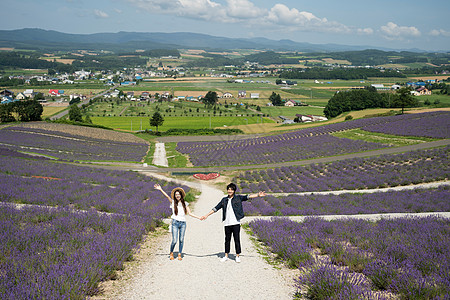 北海道薰衣草假期薰衣草公园郊游放松的年轻情侣背景