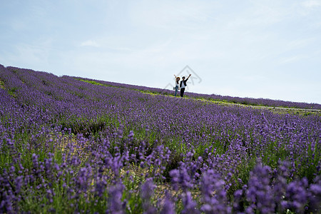 年轻情侣花田旅行度假图片