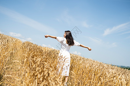 改变习惯女士夏天麦田和妇女画象图片