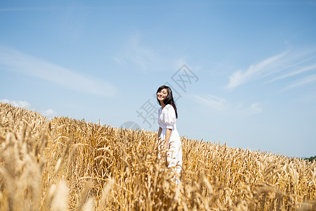 麦田里穿着连衣裙的年轻女子图片