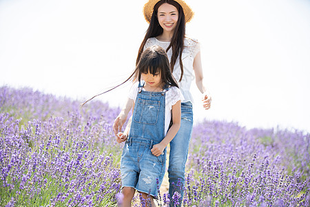 花田里的一家三口家庭图片