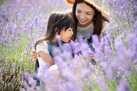 夏富良野家族花田和家庭图片