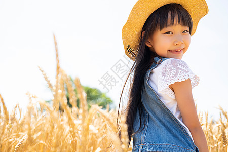 笑脸孩子胸像麦田和女孩图片