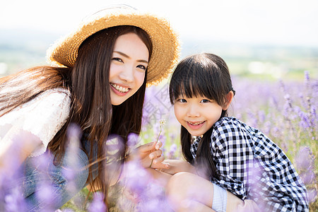 北海道两个人文稿空间花田和家庭图片