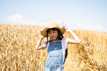 户外麦田的女孩图片