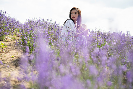 夏天花田的妇女画象图片