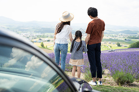 假期花田游览的一家人背影图片