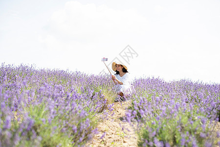 夏天花田的妇女自拍图片