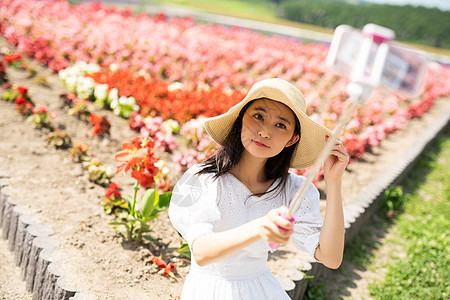 旅途花田的妇女画象图片