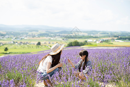 初夏旅行花田的幸福一家人图片