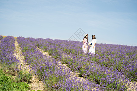 年轻闺蜜花田里游玩图片