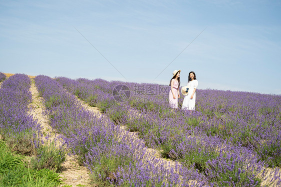 年轻闺蜜花田里游玩图片