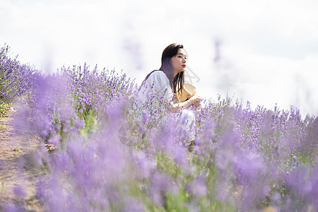 年轻美女花田游玩图片