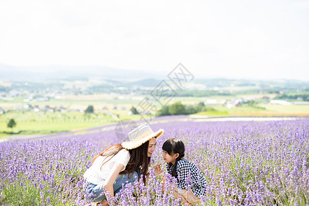 花园美丽青年花田和家庭图片