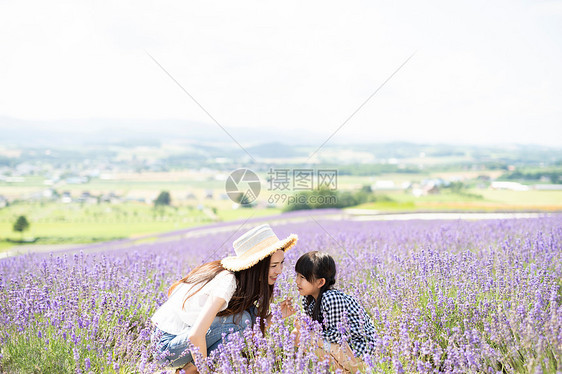 花园美丽青年花田和家庭图片