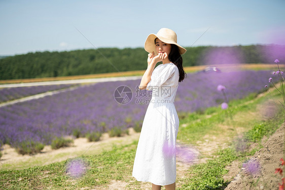 年轻美女花田游玩图片