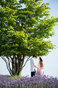 初夏异夫妇男人花田和夫妇图片