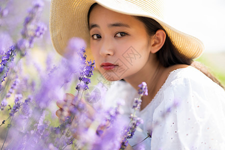 美丽旅行花田的妇女画象图片