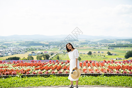 薰衣草公园旅行花田的妇女画象图片