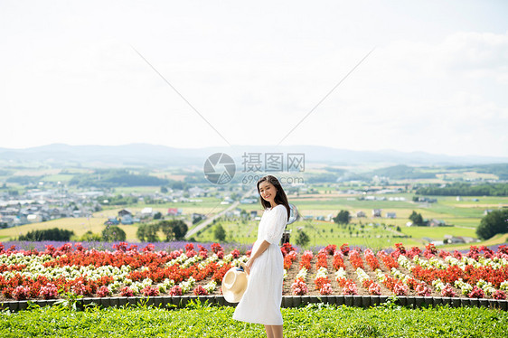 美丽旅行花田的妇女画象图片