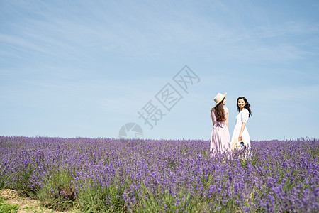 北海道薰衣草在花田里散步的女人背景